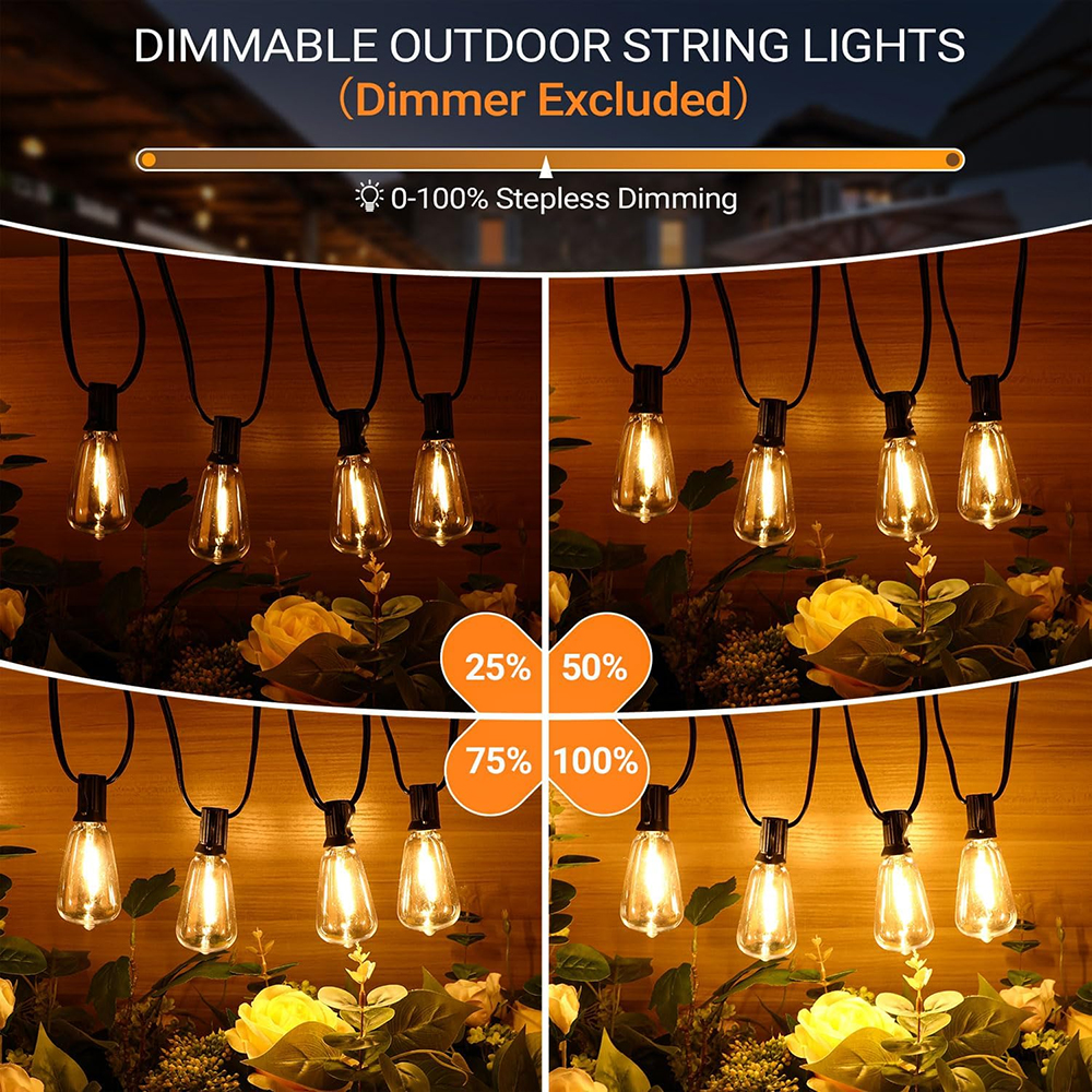 ST38 Festoon 220V LED Globe St - مراجعة Outdoor Lighting Ideas For Party وسعره