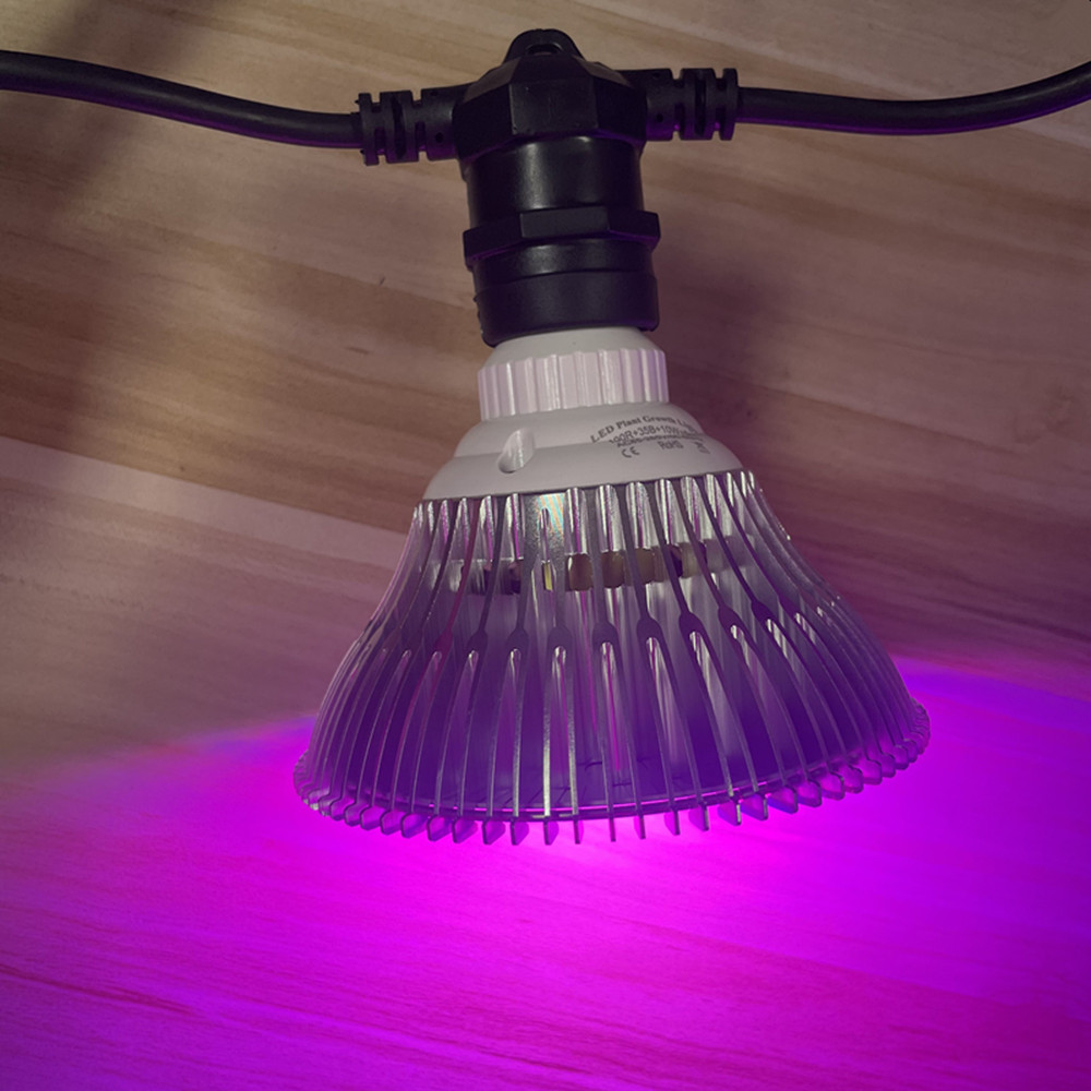 10M Cable LED String Commercia - مراجعة Outdoor Lighting Sconce وسعره