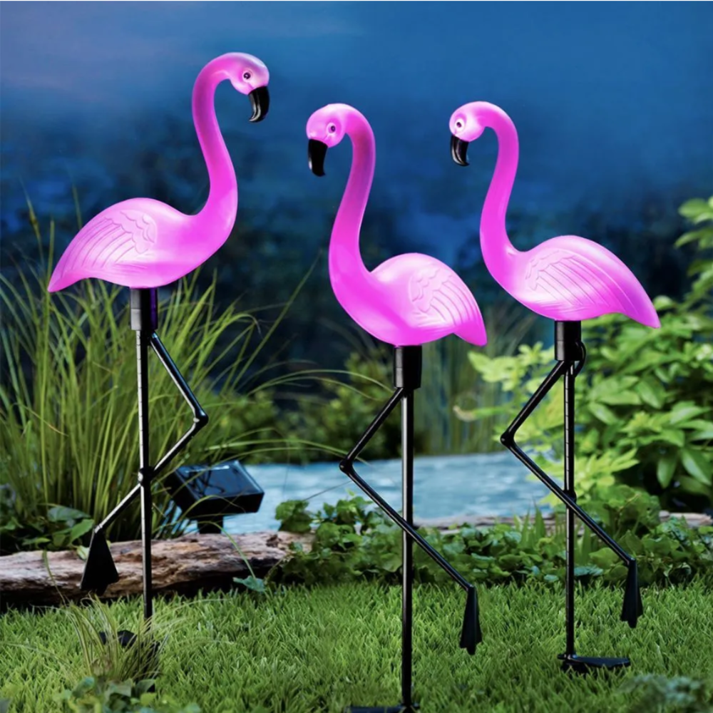 3Pcs Solar Powered Flamingo Gr - مراجعة Outdoor Lighting Traditional وسعره