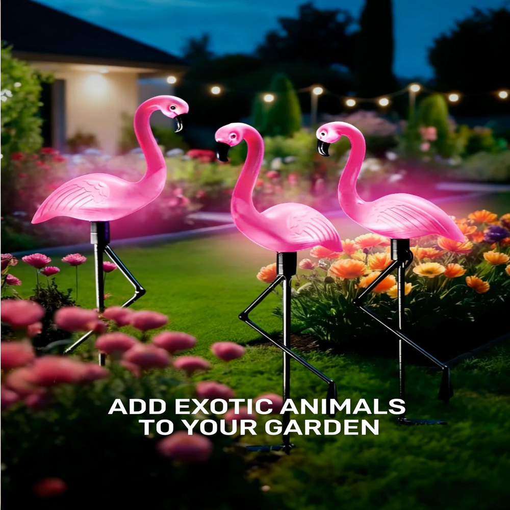 3Pcs Solar Powered Flamingo Gr - مراجعة Outdoor Lighting Traditional وسعره