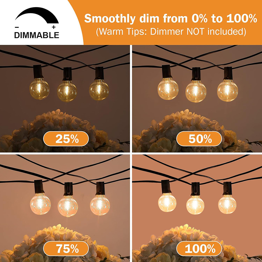7/26M Festoon LED Globe String - مراجعة Outdoor Lighting Ideas For Party وسعره