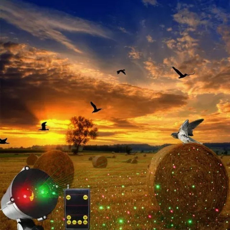 Motion   Bird Repeller with    - مراجعة Outdoor Lighting Controller وسعره