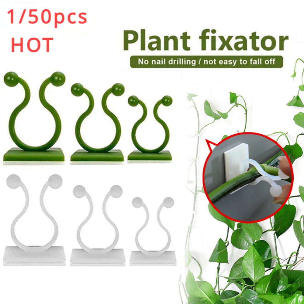 1/30/50Pcs For Garden Accsesor - مراجعة Outdoor Lighting Sconce وسعره
